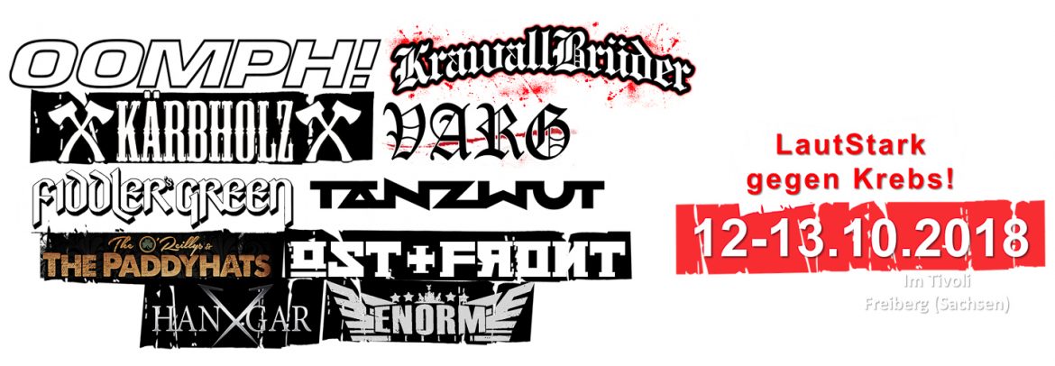 TV-Bericht Festival Rock um zu helfen