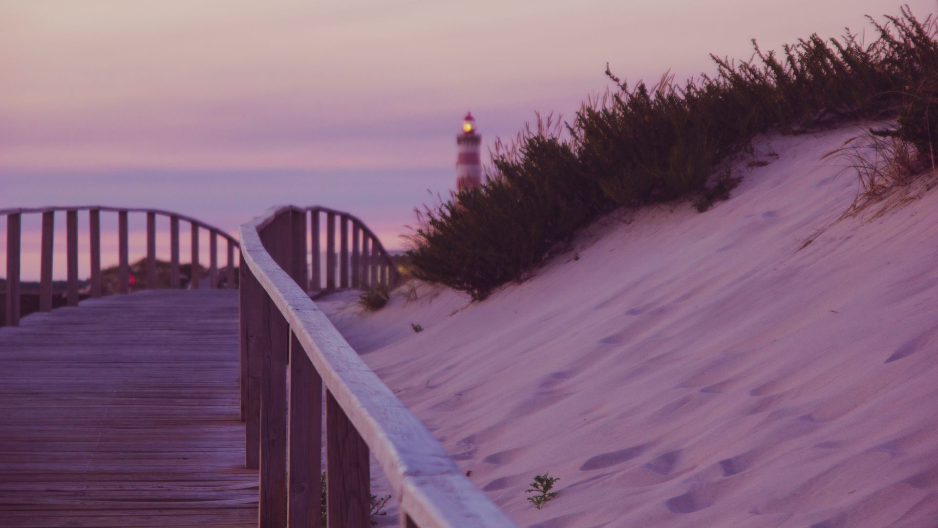 Aufbruch zu neuen Ufern